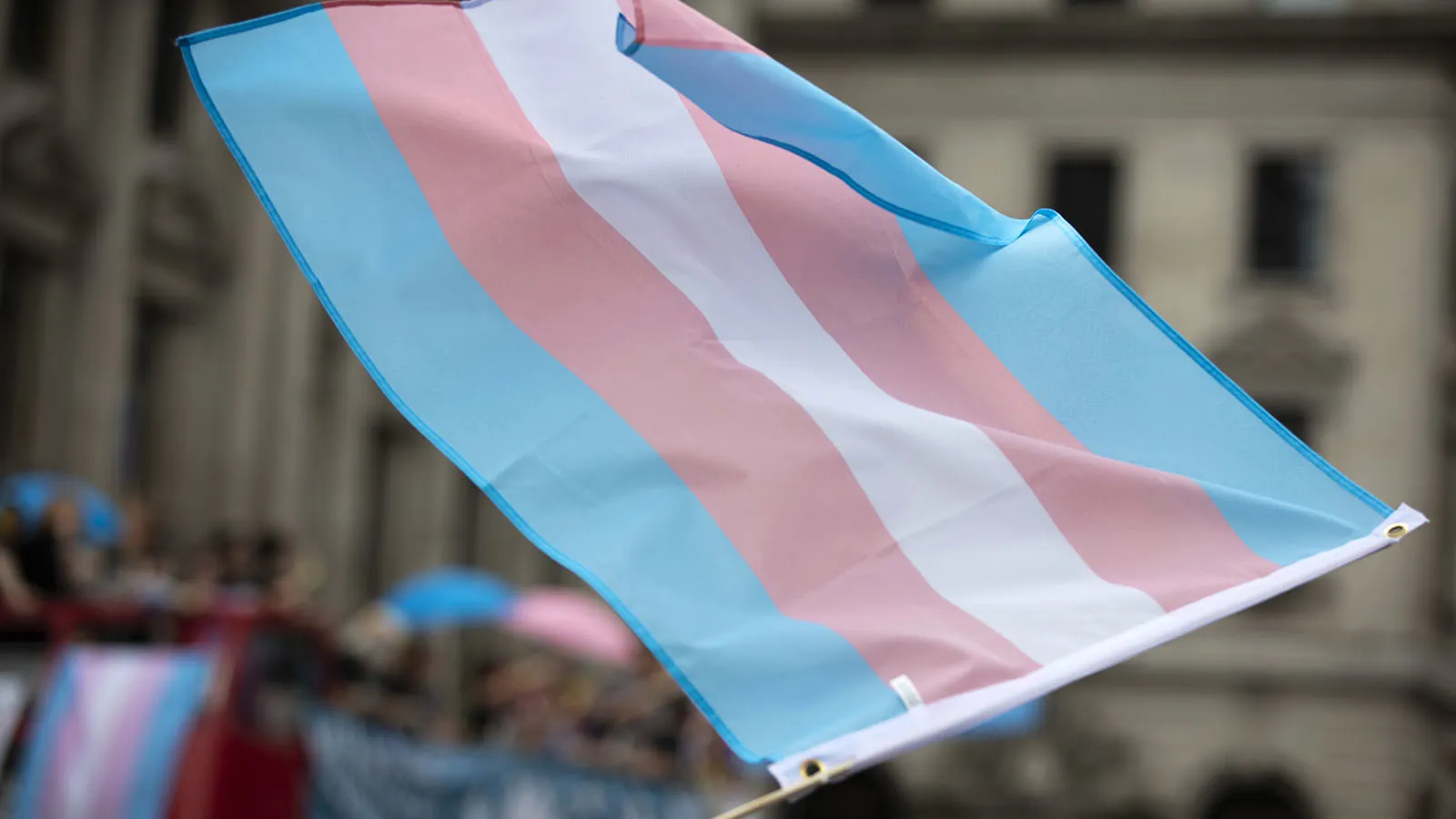 Support Trans Equality